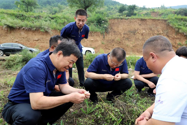 ר¼Ò×éÕÆ¹ÜÈ˲鿴ºµ³²Î¸ù¾¥³É³¤Çé¿ö ר¼Ò×éÕÆ¹ÜÈ˲鿴ºµ³²Î¸ù¾¥³É³¤Çé¿ö