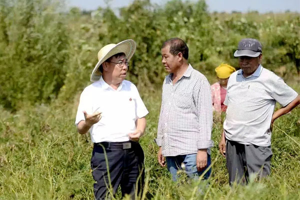 ��ҽҩ,��Ӯ����,�ƽ