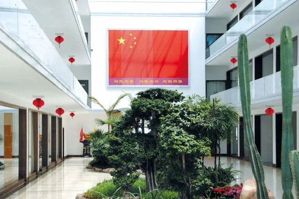 ��Ӯ����