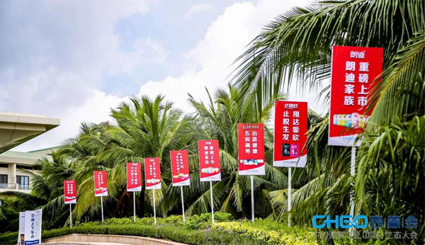 ��Ӯ����