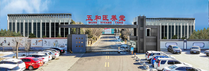 e91ae2276e4ea05c05d33ea5ca51e286