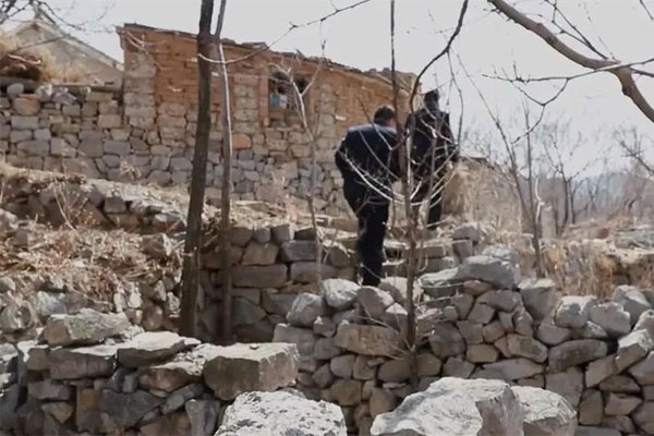 ��ƶ������