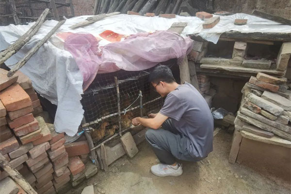 ��ƶ������,��Ӯ����