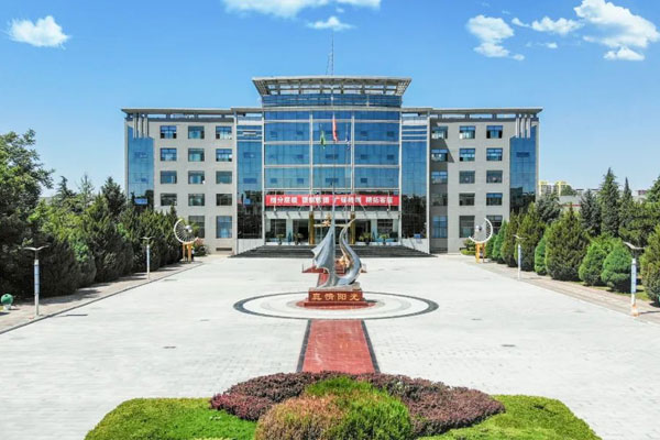 ��Ӯ����