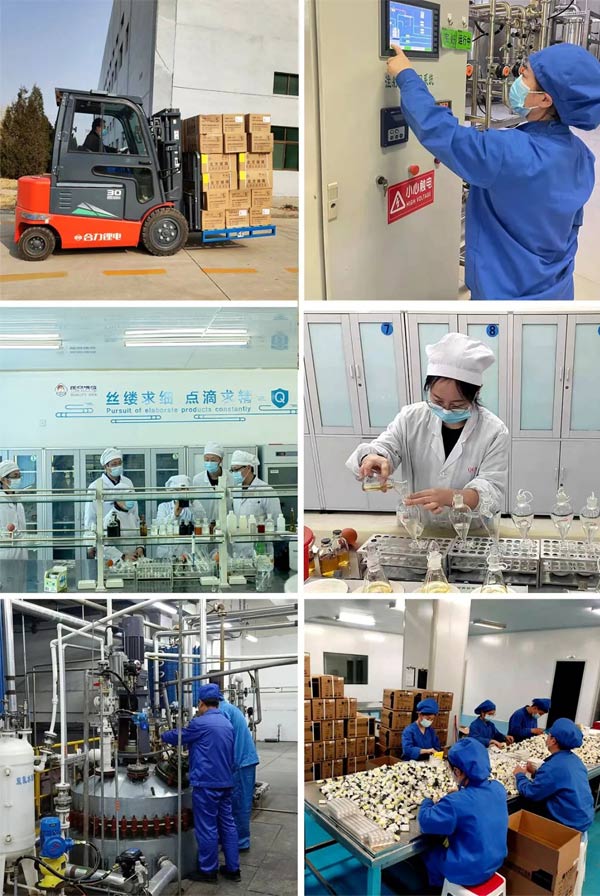 ��Ӯ����̩ʢ