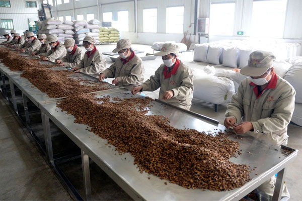 ±ØÓ®ÑÇÖÞÖÐÒ©²Ä ±ØÓ®ÑÇÖÞÖÐÒ©²Ä