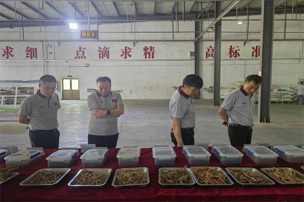 �������ŵ����Ųι���ҩ�Ĺ淶���ִ�����