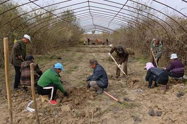 �ʰ���ʹ,��Ӯ����,��ҩ��