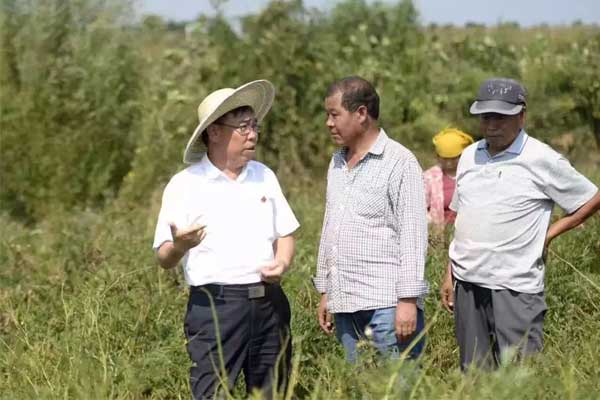 �ʰ���ʹ,��Ӯ����,��ҩ��