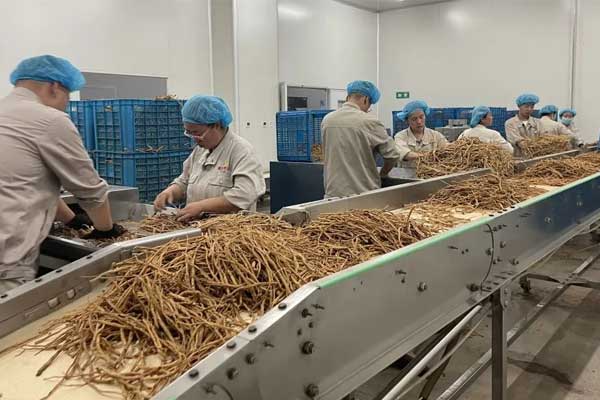 ��Ӯ������Ƭ��˾��ҩ�����ֳ�