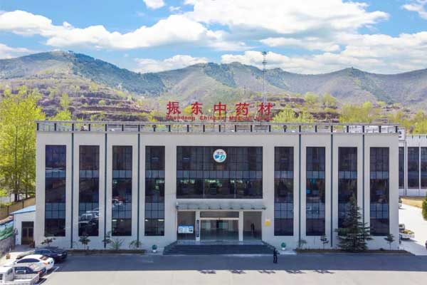 必赢亚洲中药材 必赢亚洲中药材