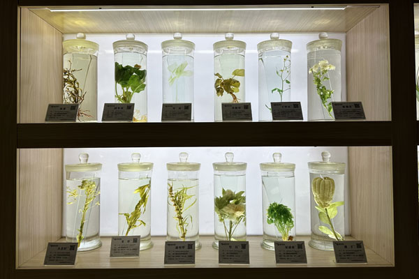 ��Ӯ���޿Ƽ���������ڷŵ���ҩ�걾