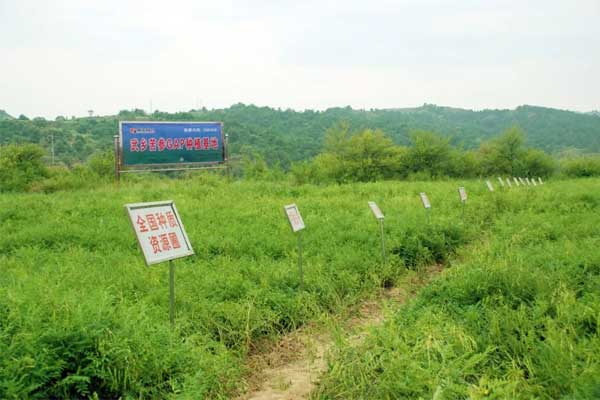 ����,�������ע��Һ,��Ӯ����