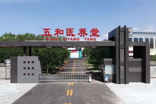 ��Ӯ�������ҽ����