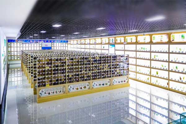 ��Ӯ���޿Ƽ�������ҩ�걾��