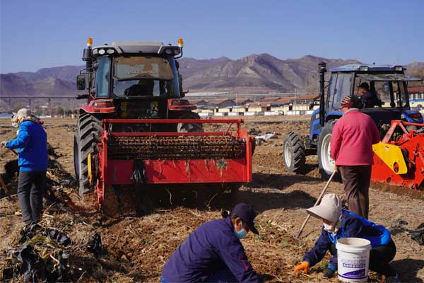 ��Ӯ����,��Ӯ����,��������,��ҩ��,��ҩ�Ĳ�ҵ