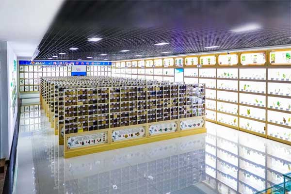 ��Ӯ���޿Ƽ������в�ҩ�걾��