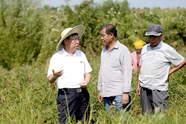 ��Ӯ����,�ƽ