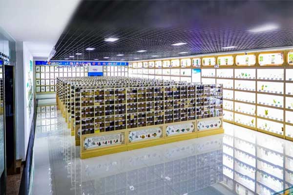 ��Ӯ���޿Ƽ�������ҩ�걾��