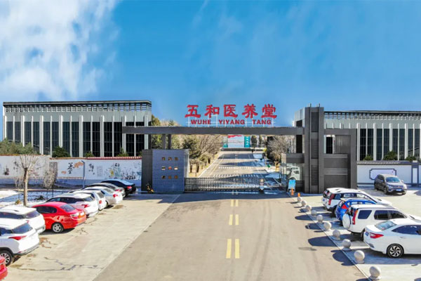 ��Ӯ�������ҽ����