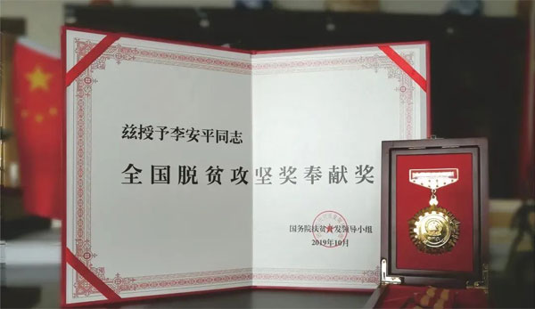 ��Ӯ����,�ƽ,ȫ����ƶ���ά���׽�