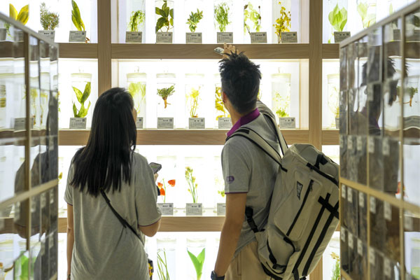 �Ƽ�����,��Ӯ����