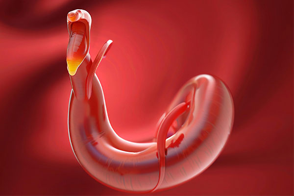 ��Ӯ���ޡ�bwin(�й���)�ٷ���վ