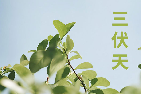 ��Ӯ���ޡ�bwin(�й���)�ٷ���վ