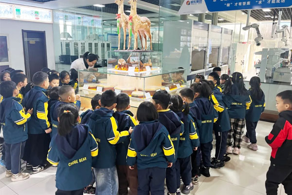 幼伴侣们到必赢亚洲标本馆科普进建 幼伴侣们到必赢亚洲标本馆科普进建