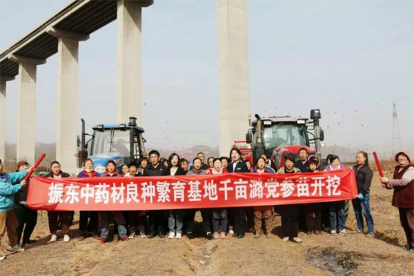 ��Ӯ����,��Ӯ������ҩ��,��ҩ��