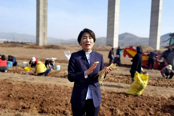 ��Ӯ������ҩ�Ĺ�˾���³�������