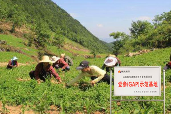 ��Ӯ����,��Ӯ������ҩ��,��ҩ��