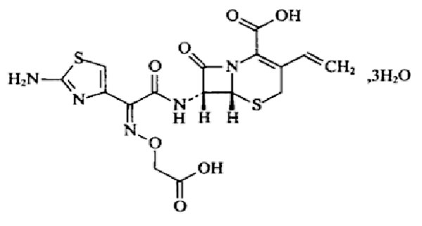 ͷ�߿�뿿���