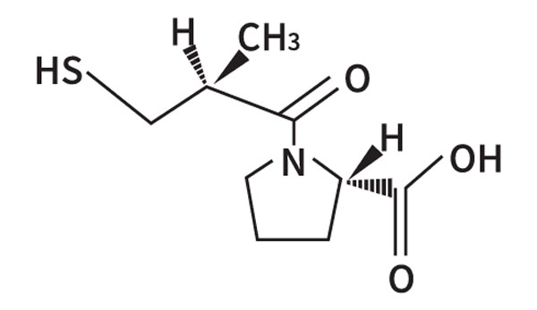 ��������Ƭ,��������