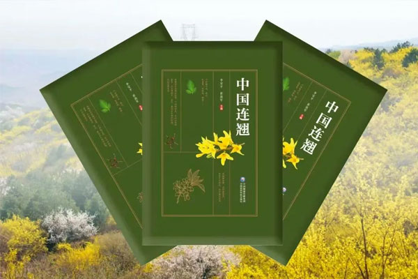 ��Ӯ���ޡ�bwin(�й���)�ٷ���վ