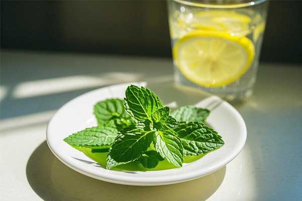 ����,���ɵĹ�Ч������,����ʳ�ò���,����ҩ�ü�ֵ