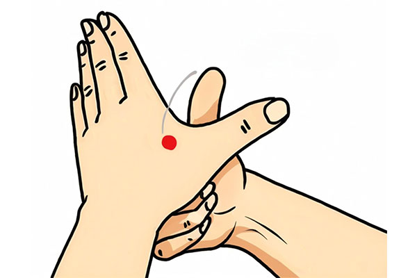 ��Ӯ���ޡ�bwin(�й���)�ٷ���վ