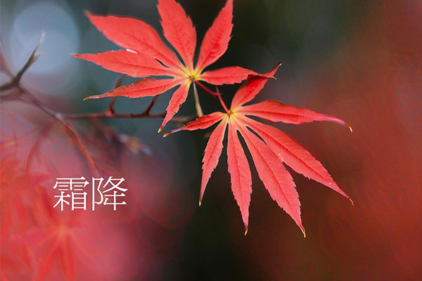 ��Ӯ���ޡ�bwin(�й���)�ٷ���վ