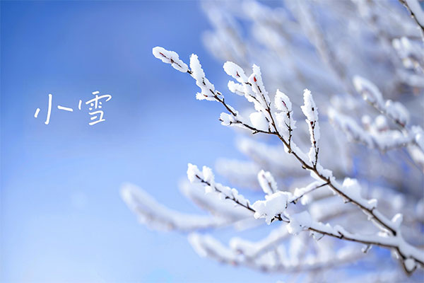 幼雪养生,起居养生,饮食养生,活动养生,情志养生,疾病预防,必赢亚洲 幼雪养生,起居养生,饮食养生,活动养生,情志养生,疾病预防,必赢亚洲