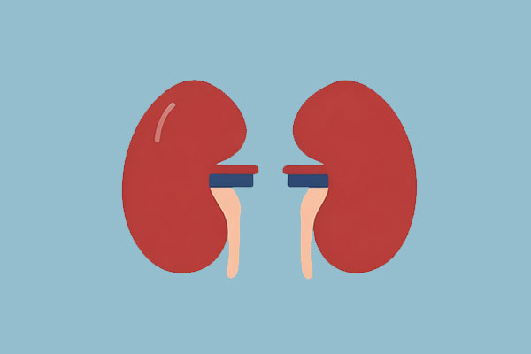 ��������,����,��������,��Ӯ����