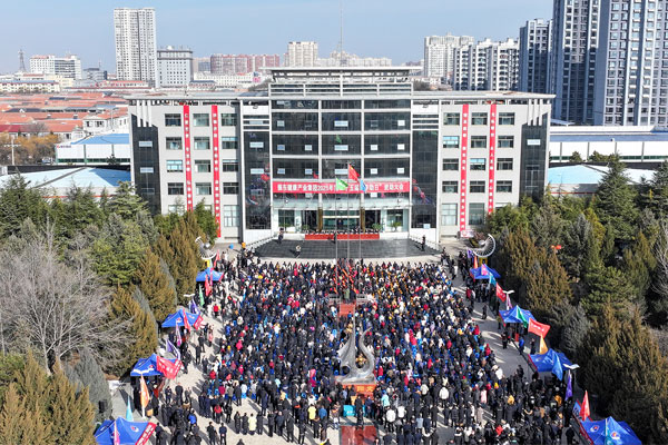 ��Ӯ����,������,��������,�������,����ȱ�