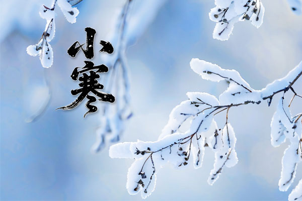 ��Ӯ���ޡ�bwin(�й���)�ٷ���վ